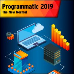 Programmatic Report 2019